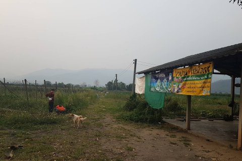 Land in Chiang Mai, Thailand 38400 sq.m. № 148931 - photo 5