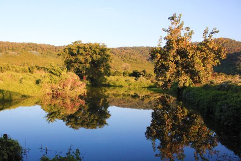 Land in Chiang Mai, Thailand 38400 sq.m. № 148931 - photo 4