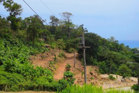 Земельный участок в Пхукете, Таиланд 9600м2 № 142169 - фото 8