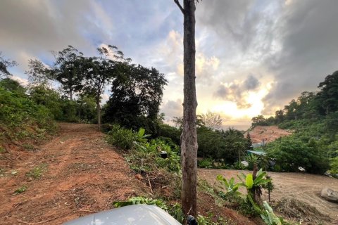 Земельный участок в Пхукете, Таиланд 9600м2 № 142169 - фото 6