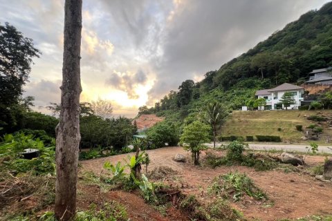 Земельный участок в Пхукете, Таиланд 9600м2 № 142169 - фото 9