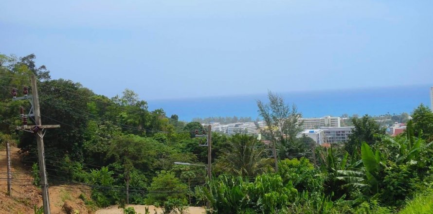 Земельный участок в Пхукете, Таиланд 9600м2 № 142169