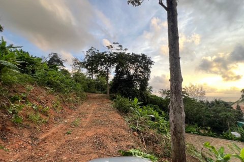 Земельный участок в Пхукете, Таиланд 9600м2 № 142169 - фото 3