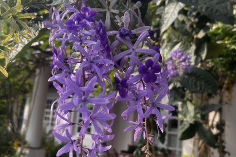 Дом в Самутпракане, Таиланд с 4 спальнями  № 151309 - фото 12