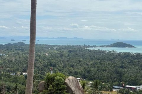 Terrain à Ko Samui, Thaïlande 8216 m2 № 156509 - photo 2