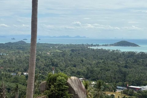 Terrain à Ko Samui, Thaïlande 8216 m2 № 156509 - photo 3