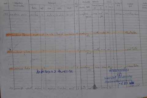 Land in Lopburi, Thailand 224000 sq.m. № 159518 - photo 2