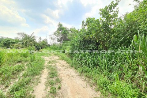 Земельный участок в Паттайе, Таиланд 3200м2 № 169098 - фото 5