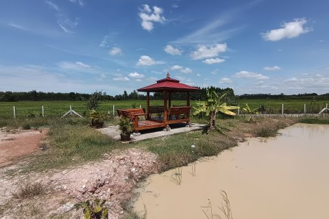 Maison à Pattaya, Thaïlande 3 chambres № 169095 - photo 10