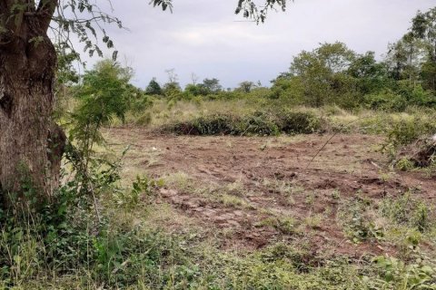 Земельный участок в Удонтхани, Таиланд 35000м2  № 153598 - фото 5