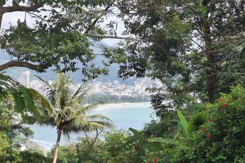 Земельный участок в Кату, Таиланд 28800м2  № 147980 - фото 2