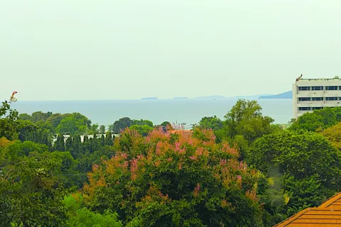 Appartement à Pattaya, Thaïlande 1 chambre № 155504 - photo 20