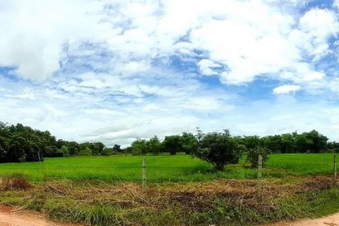 Terrain à Udon Thani, Thaïlande 19200 m2 № 154875 - photo 1