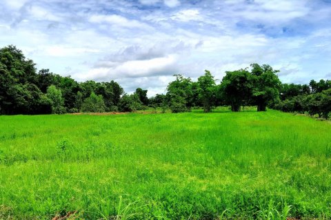 Terrain à Udon Thani, Thaïlande 19200 m2 № 154875 - photo 6