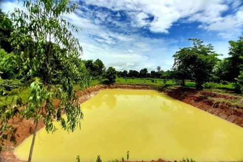 Terrain à Udon Thani, Thaïlande 19200 m2 № 154875 - photo 5