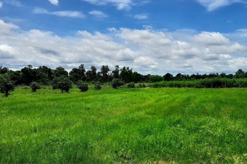 Terrain à Udon Thani, Thaïlande 19200 m2 № 154875 - photo 3