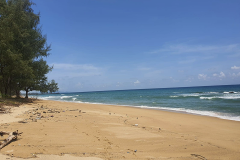 Terrain à Phang Nga, Thaïlande 4800 m2 № 154870 - photo 5