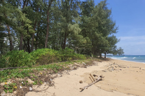 Terrain à Phang Nga, Thaïlande 4800 m2 № 154870 - photo 4