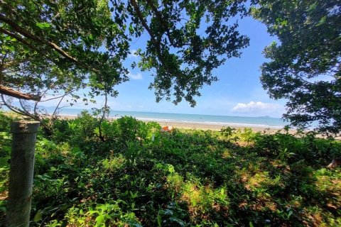 Land in Nuea Khlong, Thailand 25712 sq.m. № 160828 - photo 2