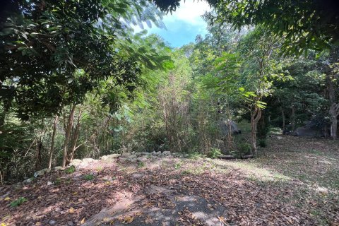 Земельный участок в Самуи, Таиланд № 146608 - фото 4