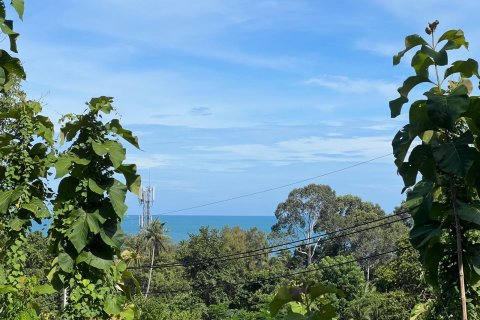 Земельный участок в Самуи, Таиланд № 146608 - фото 8