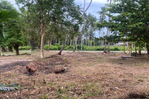 Land in Ko Samui, Thailand № 146613 - photo 12