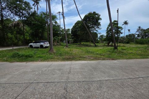 Land in Ko Samui, Thailand № 146613 - photo 10