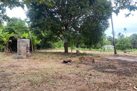 Land in Ko Samui, Thailand № 146613 - photo 8