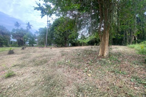 Land in Ko Samui, Thailand № 146613 - photo 11