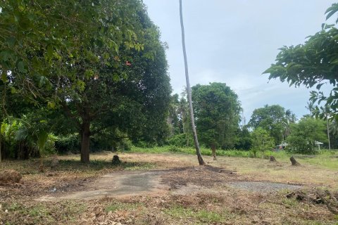 Land in Ko Samui, Thailand № 146613 - photo 1