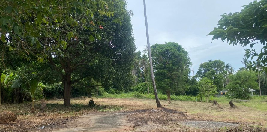 Land in Ko Samui, Thailand № 146613