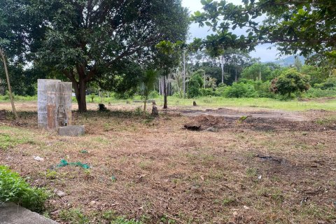 Land in Ko Samui, Thailand № 146613 - photo 3