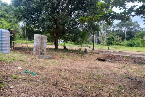 Land in Ko Samui, Thailand № 146613 - photo 6