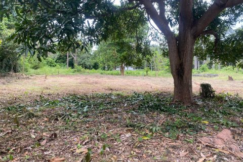 Land in Ko Samui, Thailand № 146613 - photo 5