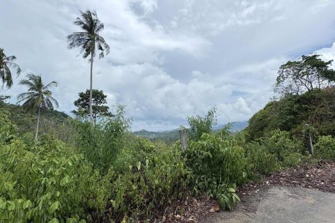 Земельный участок в Самуи, Таиланд 2116м2 № 147325 - фото 6