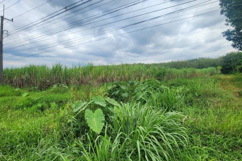 Land in Soeng Sang, Thailand 131200 sq.m. № 153587 - photo 6