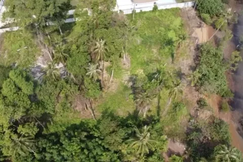 Land in Ko Chang, Thailand 4200 sq.m. № 172199 - photo 4