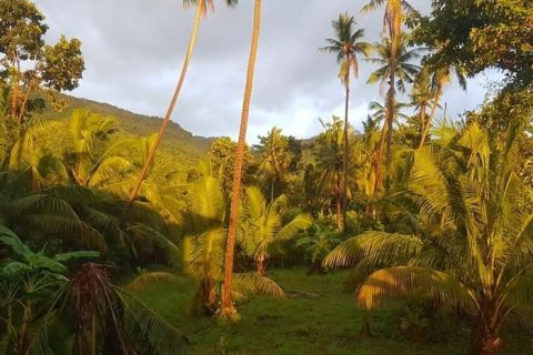 Villa in Ko Samui, Thailand 4 bedrooms № 167223 - photo 23