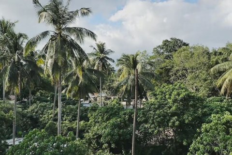 Квартира в Кату, Таиланд с 2 спальнями № 167222 - фото 19