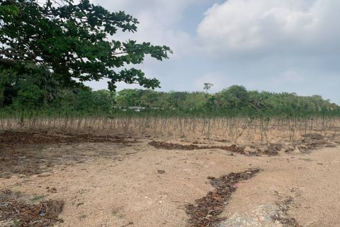 Земельный участок в Районге, Таиланд 80000м2  № 167220 - фото 2