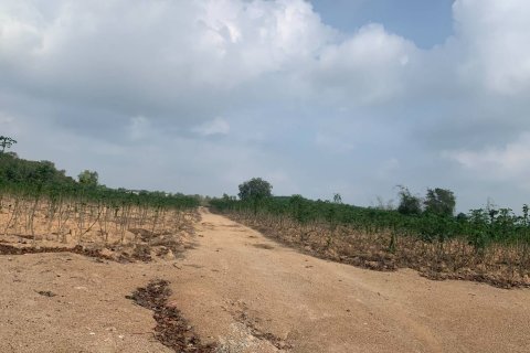 Земельный участок в Районге, Таиланд 80000м2  № 167220 - фото 5