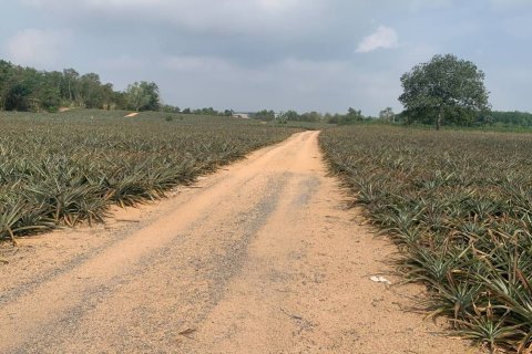 Земельный участок в Районге, Таиланд 80000м2  № 167220 - фото 4