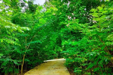 House in Phetchabun, Thailand 2 bedrooms № 167221 - photo 22