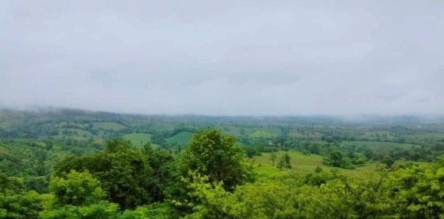 House in Phetchabun, Thailand 2 bedrooms № 167221