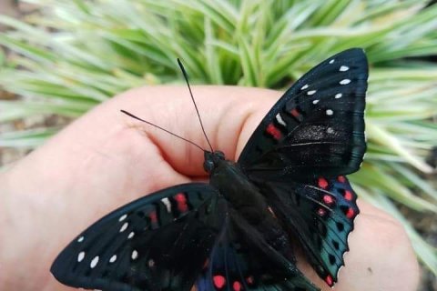 House in Phetchabun, Thailand 2 bedrooms № 167221 - photo 26