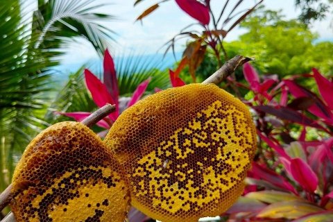 House in Phetchabun, Thailand 2 bedrooms № 167221 - photo 24