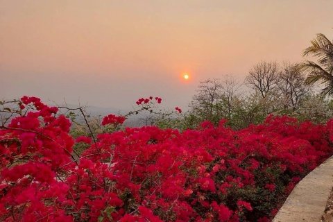 House in Phetchabun, Thailand 2 bedrooms № 167221 - photo 2