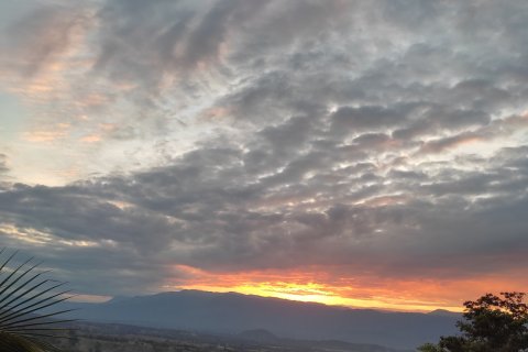 House in Phetchabun, Thailand 2 bedrooms № 167221 - photo 30