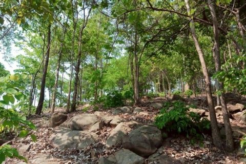 House in Phetchabun, Thailand 2 bedrooms № 167221 - photo 8