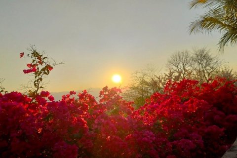 House in Phetchabun, Thailand 2 bedrooms № 167221 - photo 4